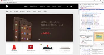 阿里是不是不看好 Vue.js ,或者 Vue.js 是不是不适合阿里的业务 