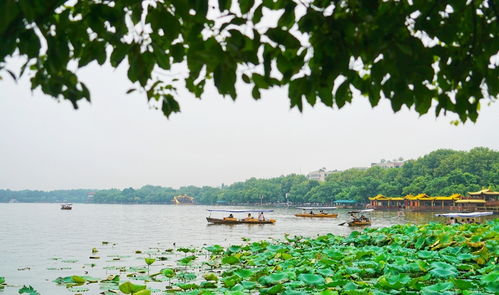 浙江热门旅游景点,被誉为中国历史第一湖,游客说一年四季都喜欢