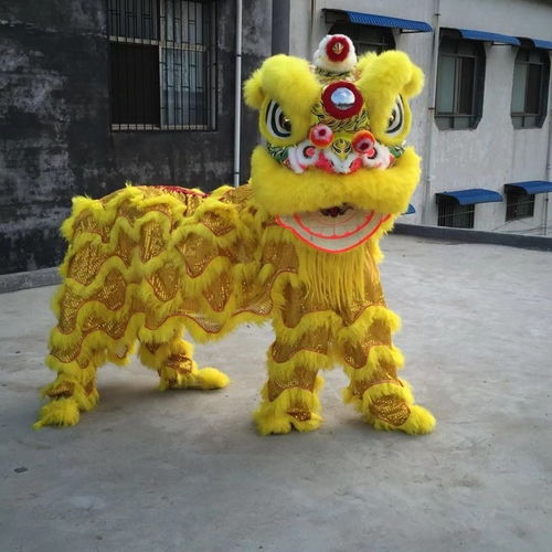 贵州哪里有舞狮表演 舞龙的方式及意义