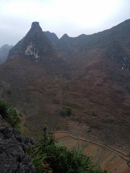 谁知道这里是什么地理位置,是高山,还是丘陵地带 