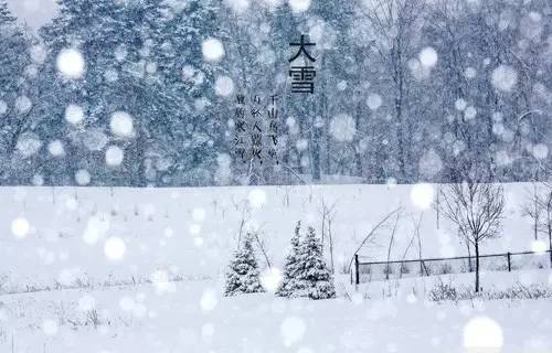 大雪节气,初雪来袭,你哪儿下雪了吗