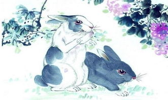 属兔女6月中下旬感情运 单身的兔女本月一见钟情不是神话 