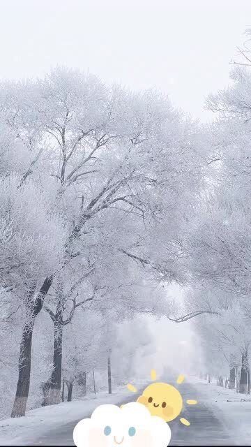 这样和牛奶一样纯白的雪景你见过吗 