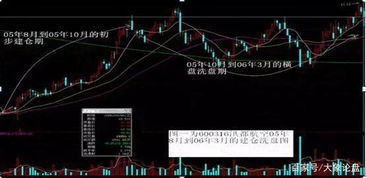 是否每年5月至6月为股市洗盘时间