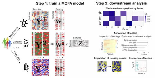 墙裂推荐 多组学分析神器 多组学因子分析MOFA