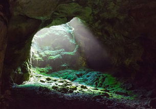 梦见洞穴