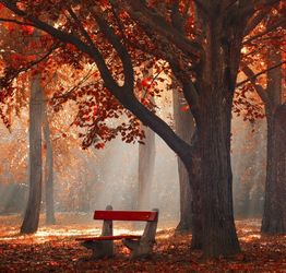 关于秋天美景的词语和诗句