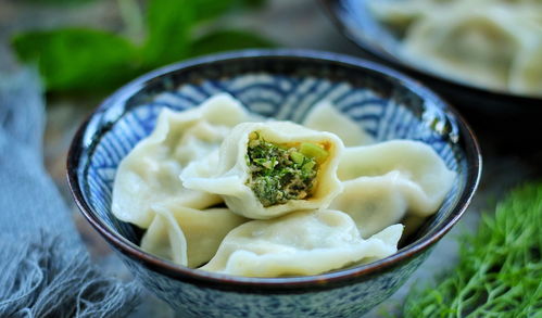 头伏要吃饺子,分享6种饺子做法,清香清爽不油腻,学会换着吃