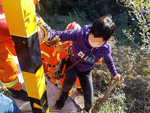 上山采蘑菇接连有人被困悬崖 咱不差这一口儿,安全第一