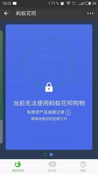 为什么支付宝花呗显示无法使用花呗购物