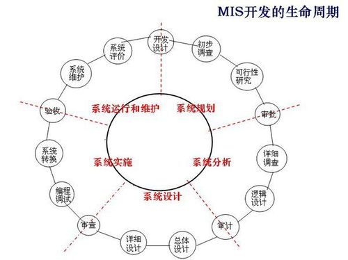 信息系统建设共分为几个阶段 每个阶段的任务 