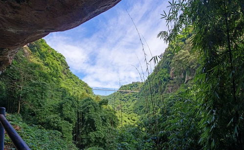 川西竹海峡 金鸡谷高空玻璃栈道旅游指南(川西竹海自驾停车场收费标准)