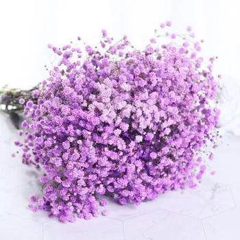 紫色满天星花语和寓意代表什么寓意,紫色满天星花语是什么？