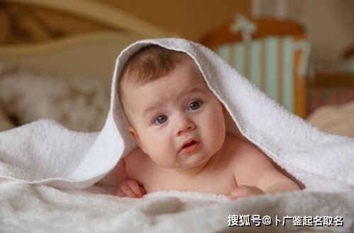 周易起名 2021牛宝宝取名大全 新潮的婴儿名字