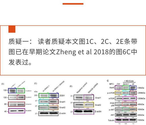 学校查重背后的技术原理，你了解多少？