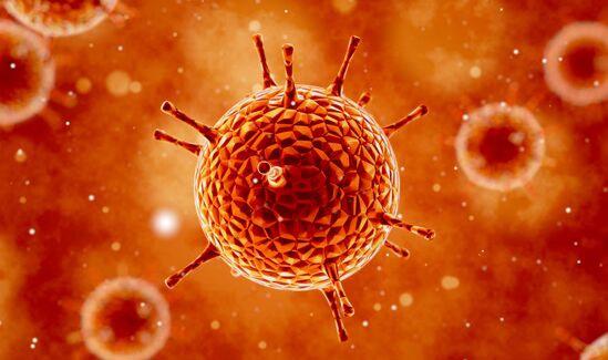 新冠病毒具有高度传染性同时逃避免疫反应 新研究解开它 狡猾 的秘密