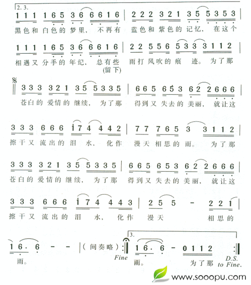 让泪化作相思雨 歌词