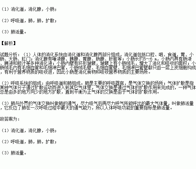 关于人体呼吸和消化的知识(关于人体呼吸和消化的知识有哪些)