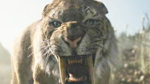 史上体型最大的猫科动物 洞狮,曾与人类进行争斗,现已灭绝 