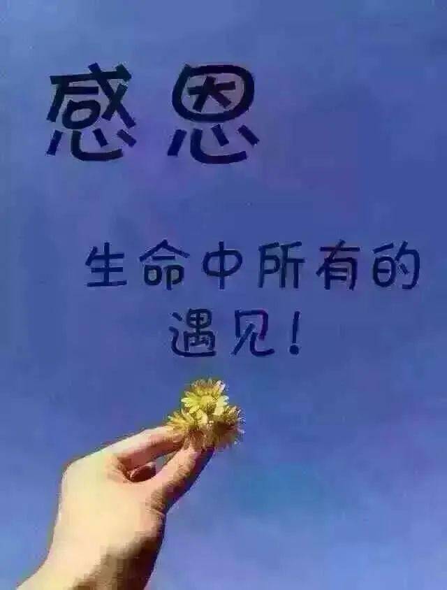 9.11,感恩遇见的一段话