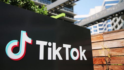 tiktok运营 岗位_如何开通TikTok广告账户