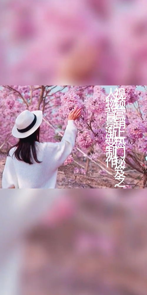 剪映如何做两个视频渐变效果(剪映两个画面怎么制作)