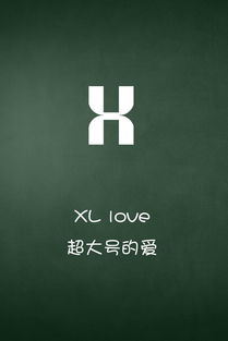 字母爱情,一个字母一句话X