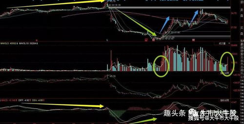 牢牢记住了,牛股与妖股的几个显著特征,特别是最后一条特征