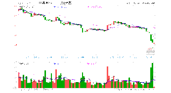 公司股份分配，公司股份怎么分配