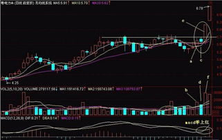 股票鼠标放阳线上会显示的信息没有了怎么办?