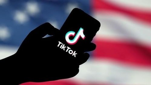 tiktok是怎么运营的_tiktok短视频推广