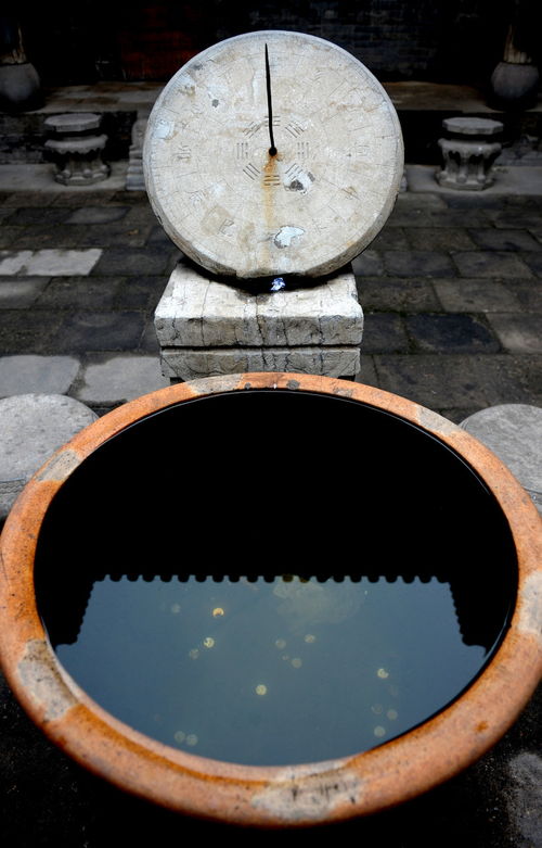 水缸 苔藓 时间