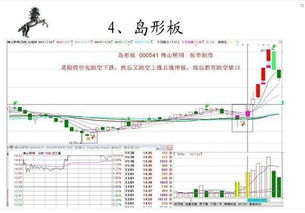 大家炒股后最多亏损多少百分比？