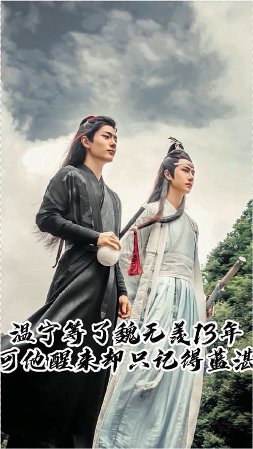 陈情令 温宁等了魏无羡13年,他醒来却只记得蓝湛,我该怎么形容这一跪 