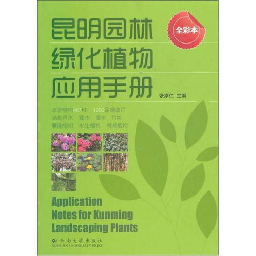 最新发现!探索昆明市场，一手香烟批发指南与策略解析“烟讯第34794章” - 3 - 680860香烟网