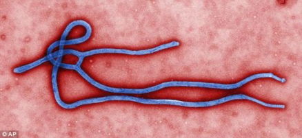 埃博拉病毒，埃博拉病毒在哪个国家爆发