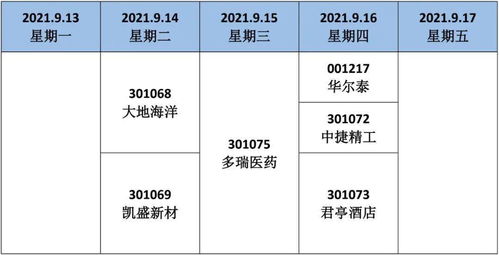 IPO如何网上申购