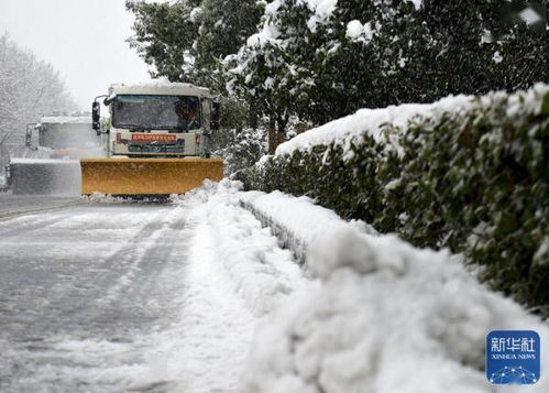 合肥 除雪保安全