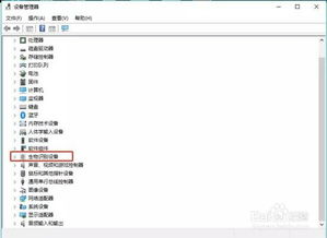 win10指纹选项没法设置