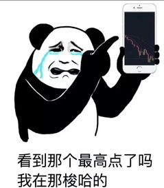 我的妈呀，一天不看，我的股票跌成那样…哎，600797成本价7.71，000735.成本价8.5