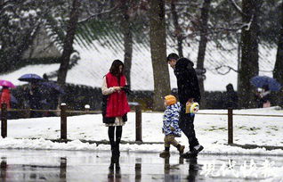 雪后天晴吗 江苏和太阳之间,还有两天 雨 的距离