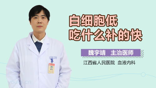 化疗后吃什么增加白细胞  第2张