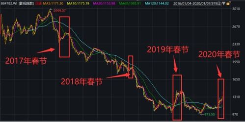 你觉得春节后的股票，哪个板块会成为今年最牛的品种？