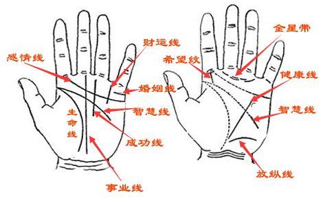 秒懂手相 从生命线21种异常看健康运势