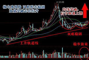 双11这么好,它的股票会涨吗