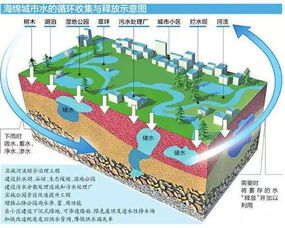 海绵城市概念股有哪些？