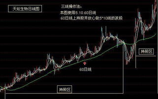 一位资深操盘手的八字箴言 线上阴线买 线下阳线卖