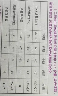 股票名字前面加个“N”，请问是什么意思？