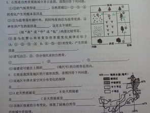 高一地理，先谢1影响大气逆辐射的因素有哪些