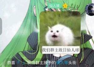 怎么取名字才能有排面 一周囧图第一二六期